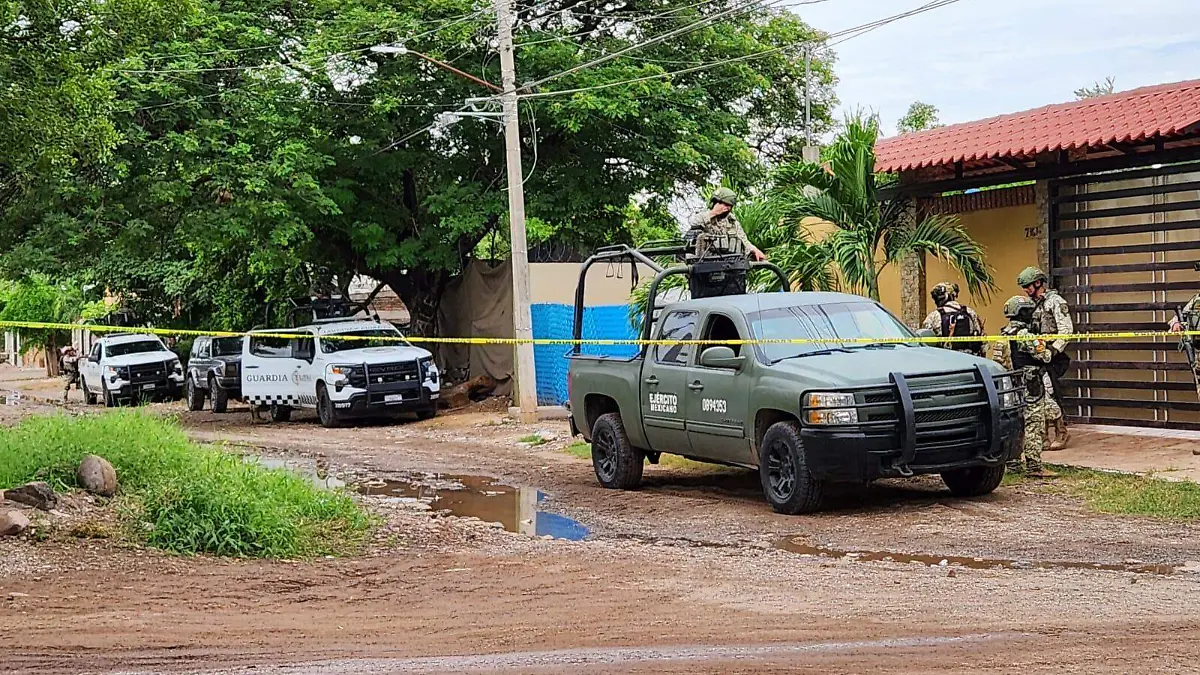 WhatsApp Image 2024-09-07 at 2.55.12 PM