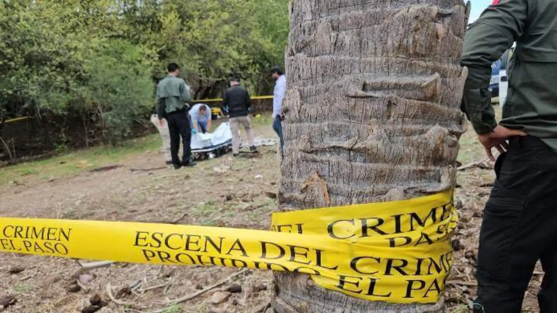 muerto-badiraguato