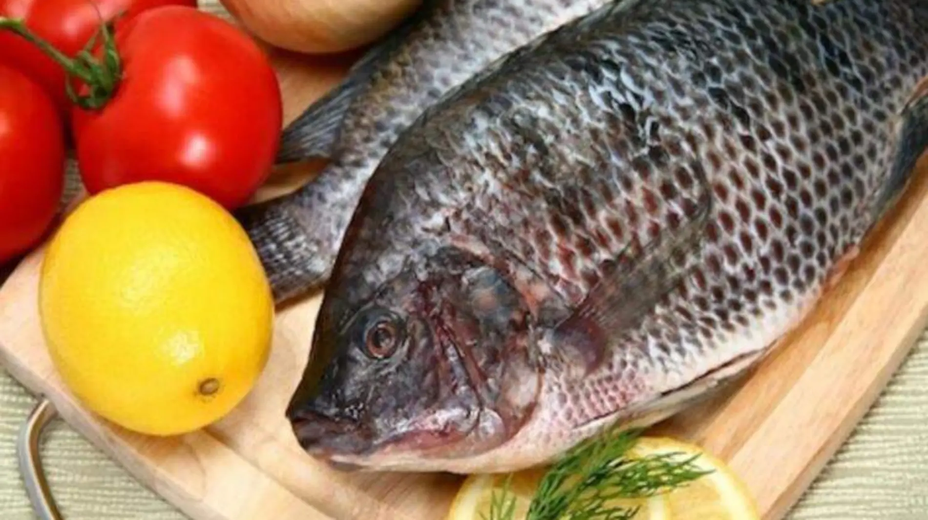 mojarra