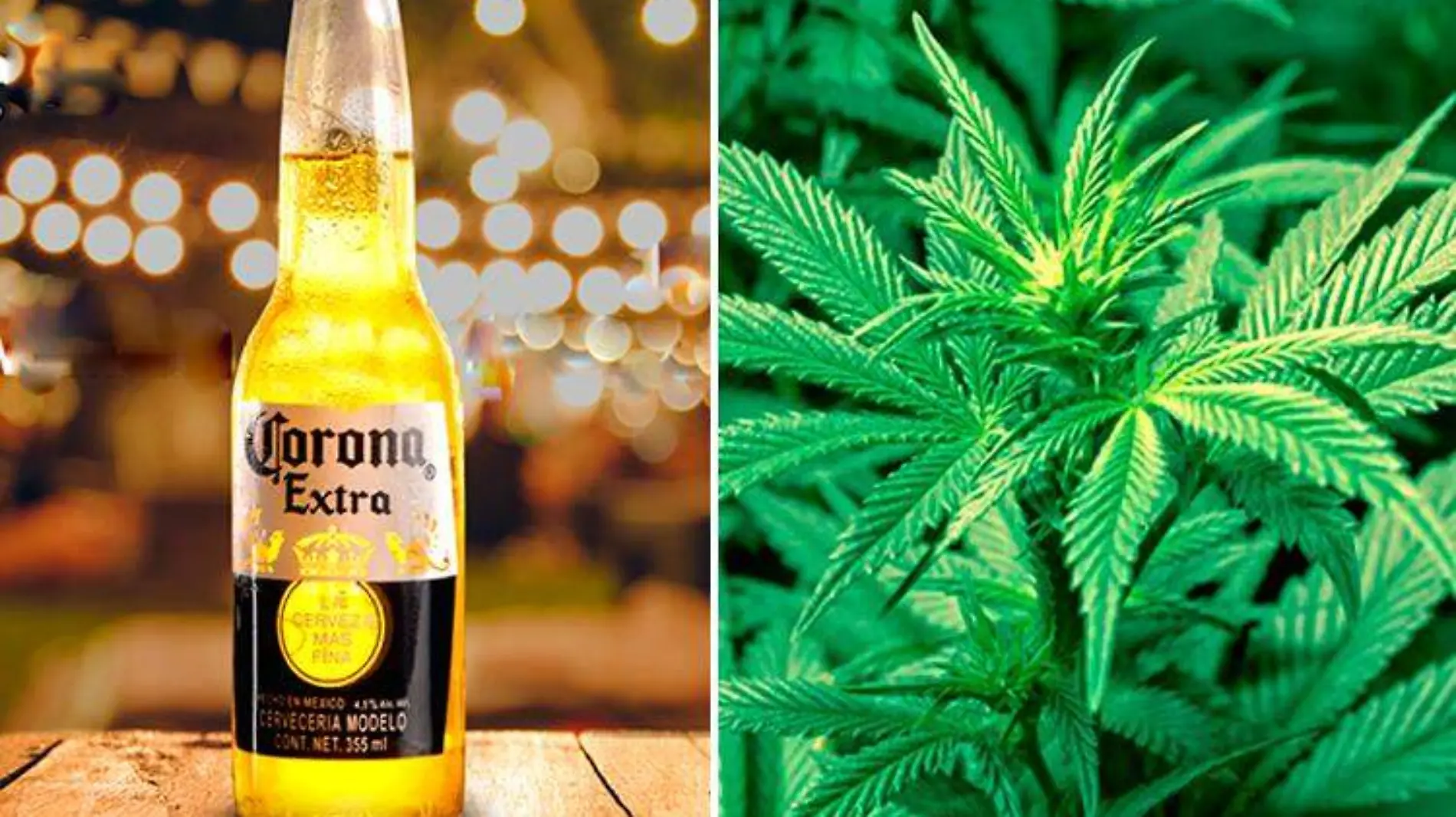 corona-marihuana-cerveza