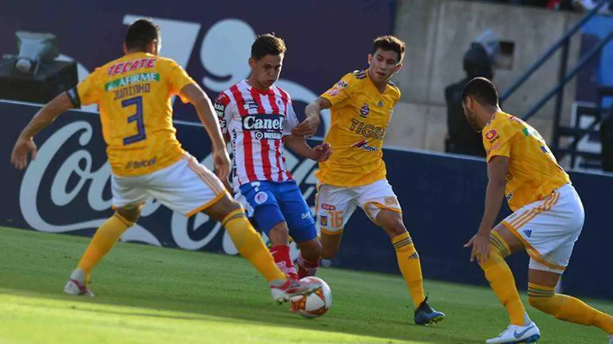 tigres-san-luis