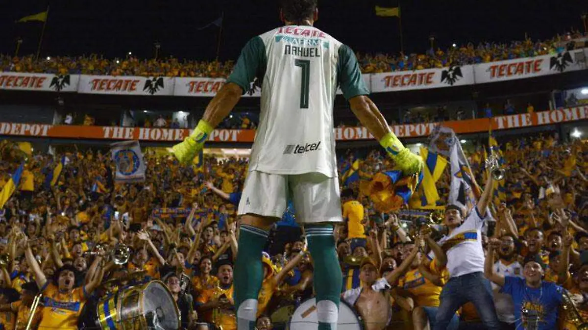 tigres