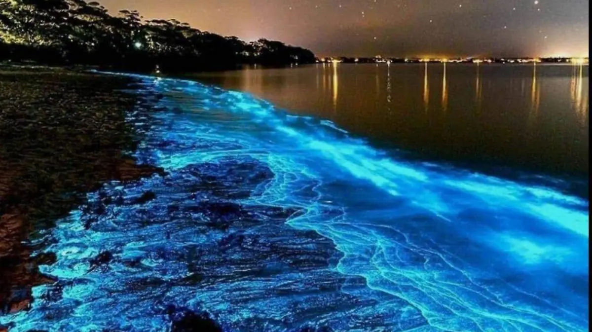 bioluminiciencia