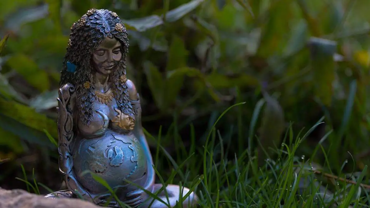 garden-6717787_960_720