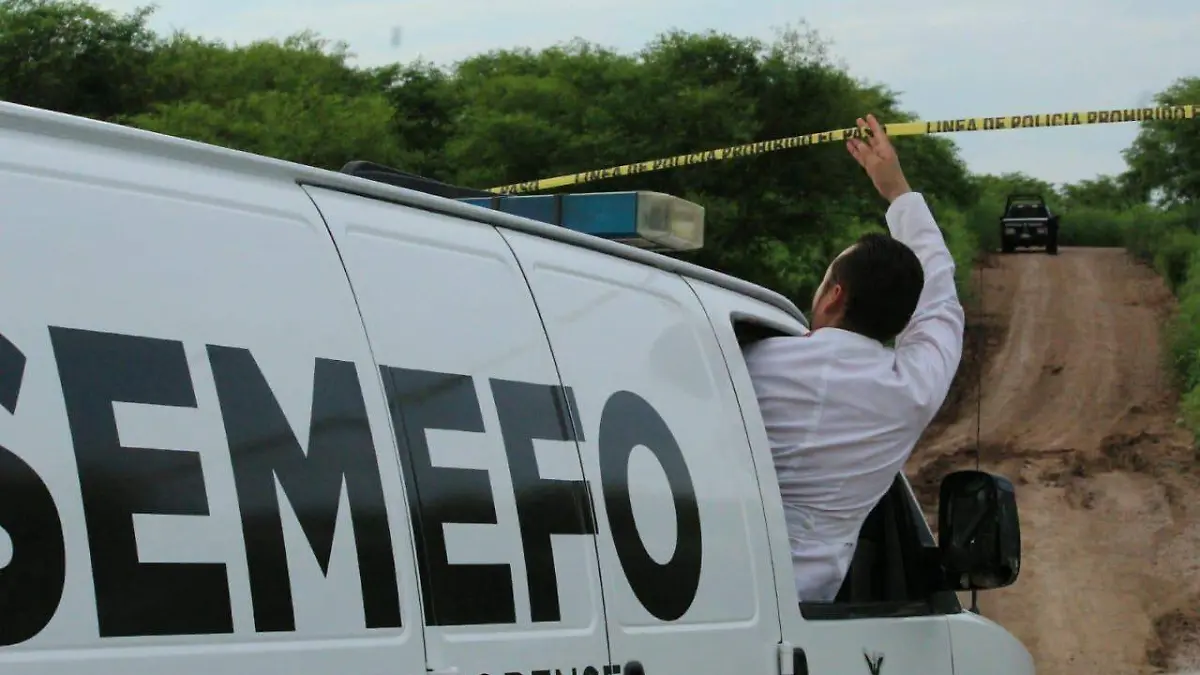 WhatsApp Image 2019-09-04 at 8.14.09 PM (1)