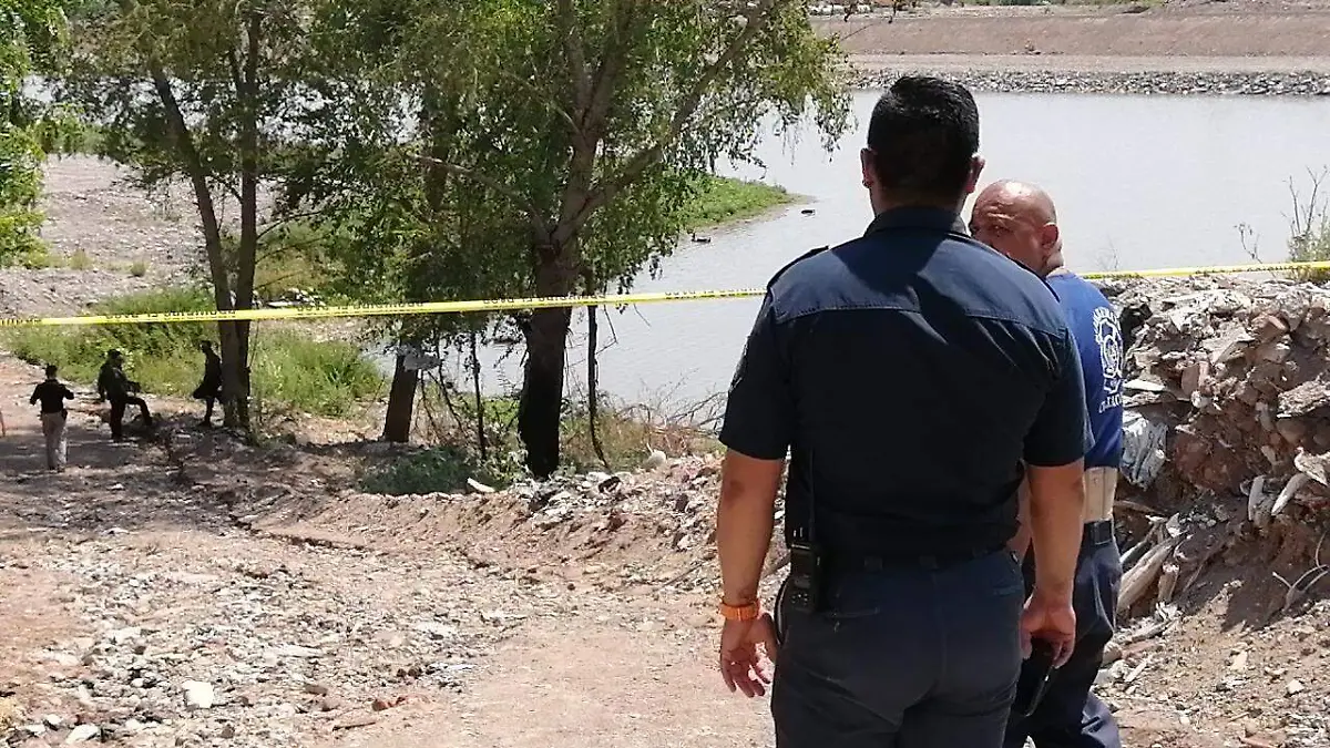 WhatsApp Image 2023-07-08 at 11.48.07