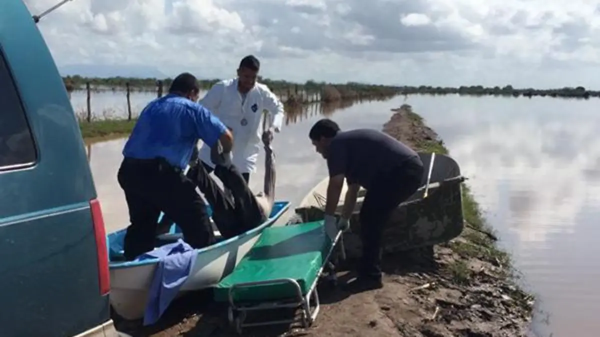 83e67d44-3b18-4de8-a377-0e4377fe62cd