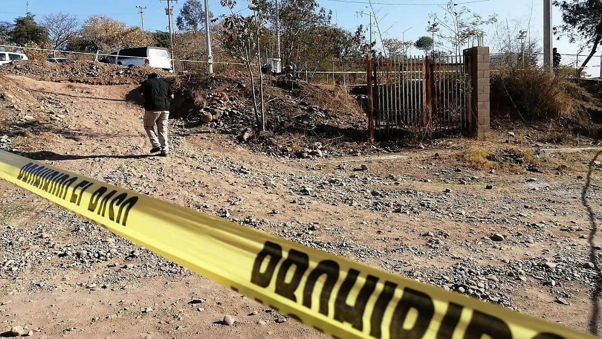 tematica- cinta amarilla