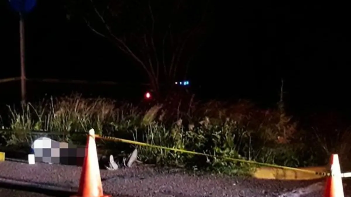 4d85b219-5a6a-4dfa-8530-465bc668bddb