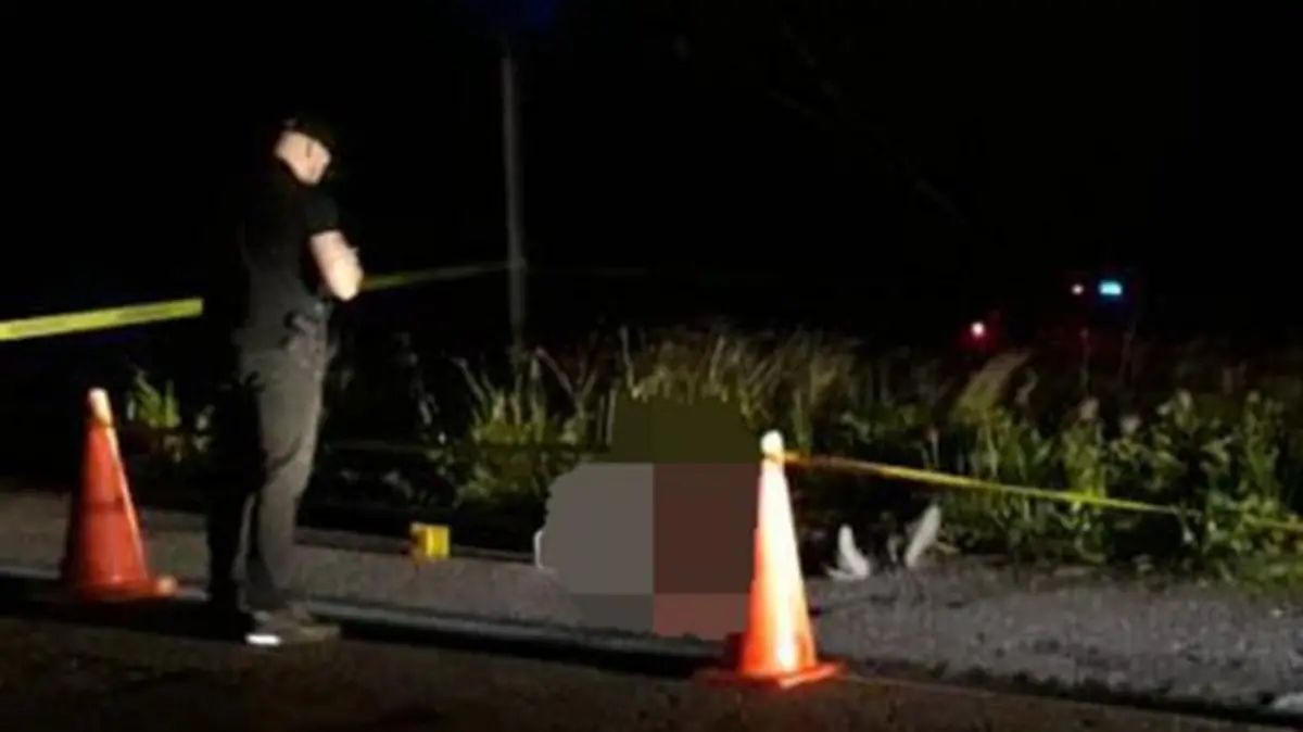 9713bcb0-386a-4f8f-8081-5a24386c7ac6