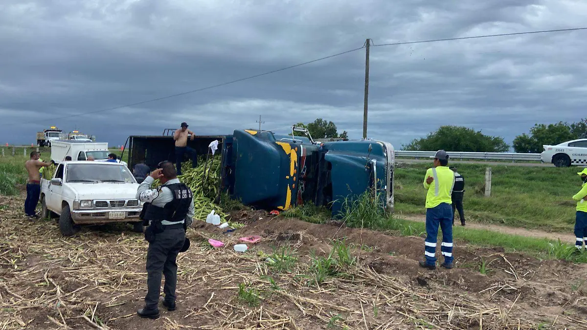 WhatsApp Image 2023-08-09 at 12.54.27 PM