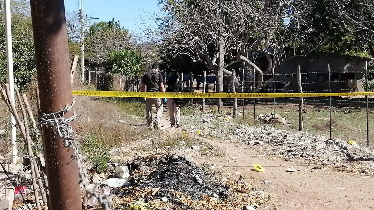 el-tamarindo-forenses