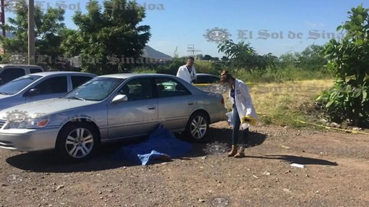 14572eeb-99d9-4ed1-8c3c-e43f4a032277