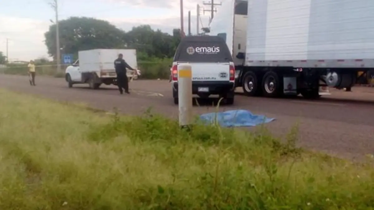 e29ff1df-5788-43fd-ba4c-e55d9b4f0483