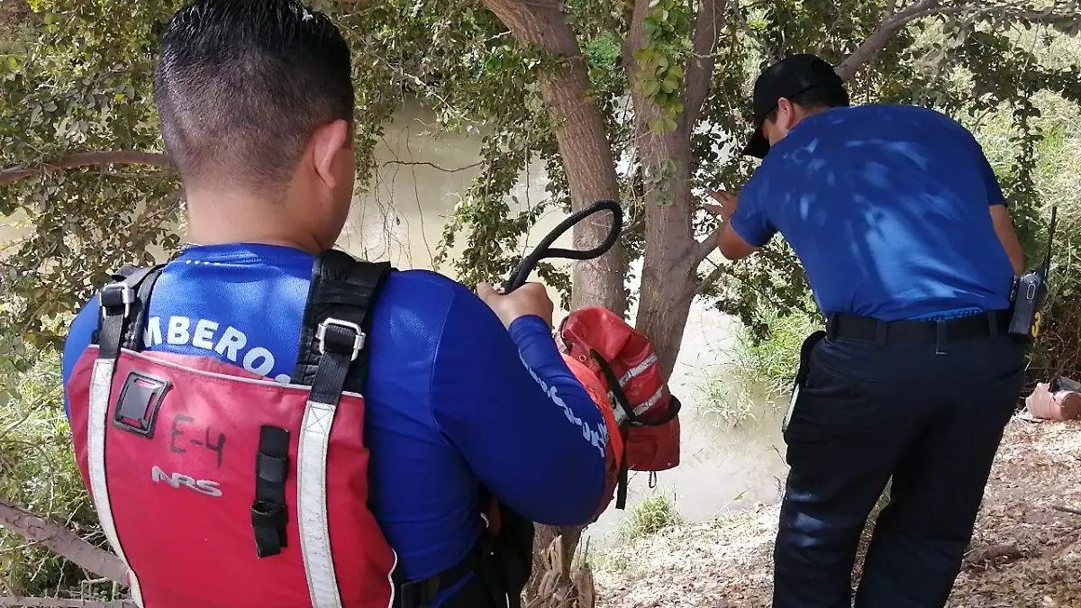 WhatsApp Image 2023-04-04 at 10.49.32