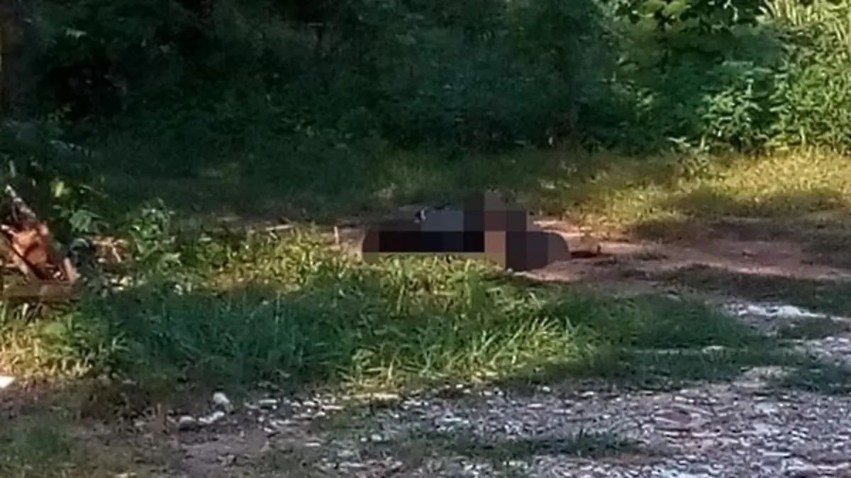 1daae6ca-ef3f-4349-9498-5880b6e954e3