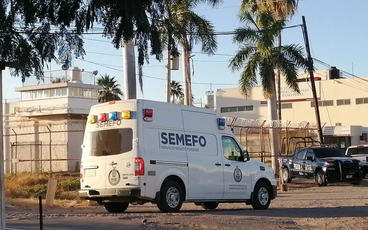 WhatsApp Image 2022-11-27 at 09.06.56