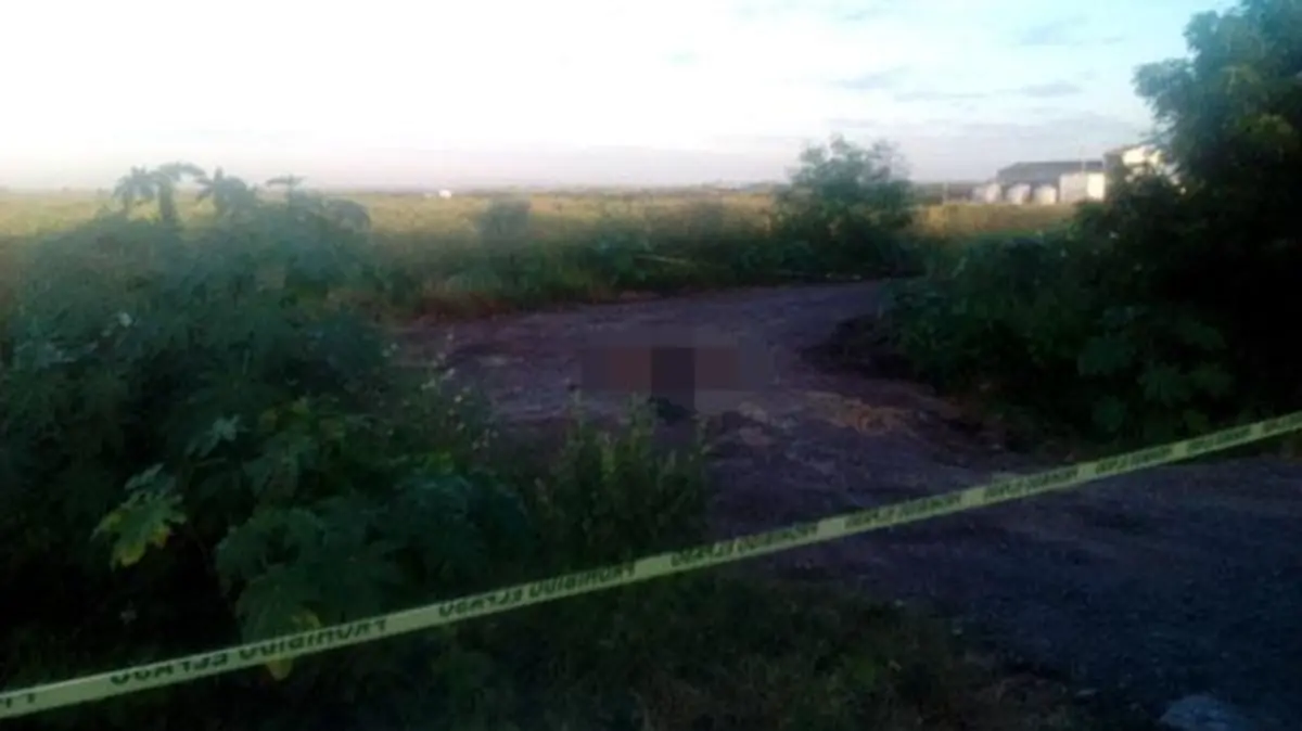 31fc975e-5a71-432b-9fb3-be390a588fc1