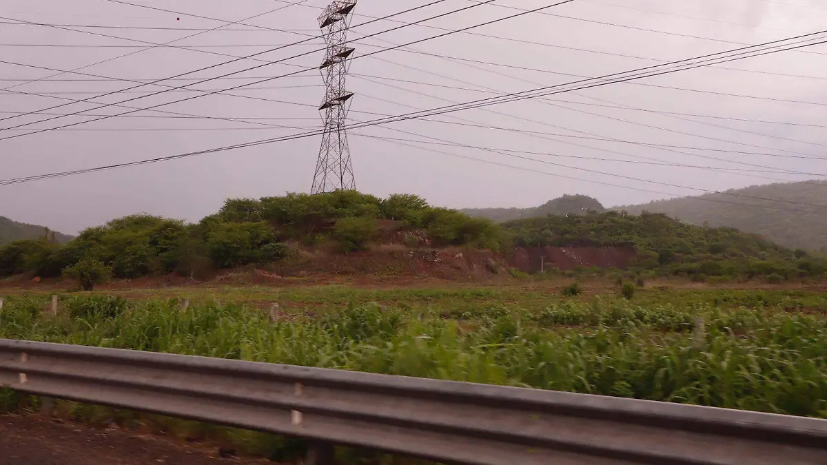 bosque-tropical-sinaloa-natural