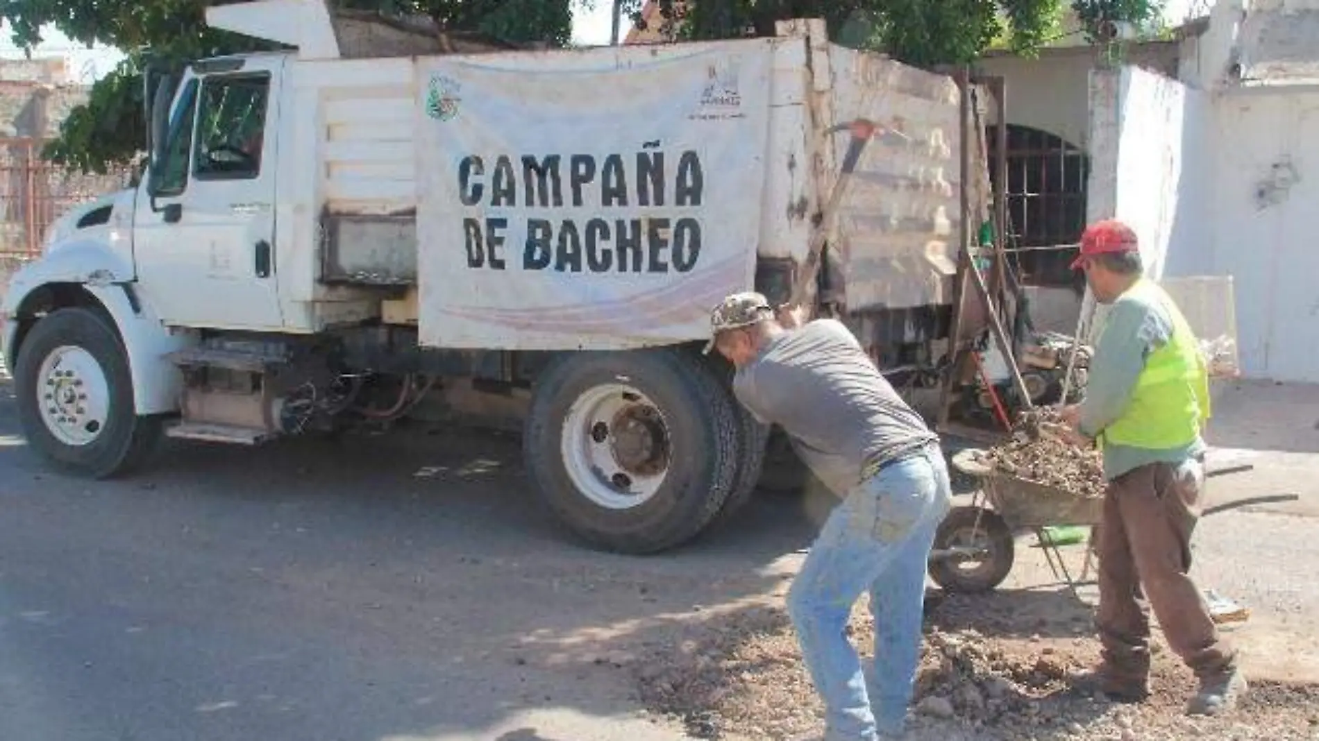 BACHEO