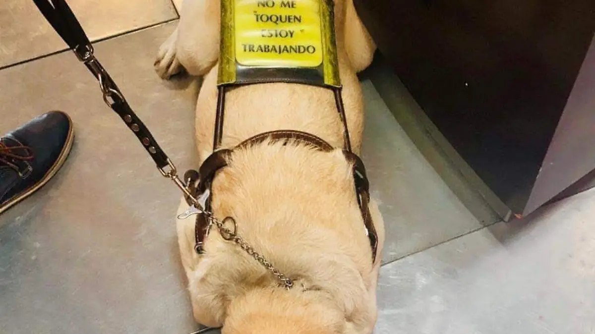  La ceguera no venció a Manuel Valdez