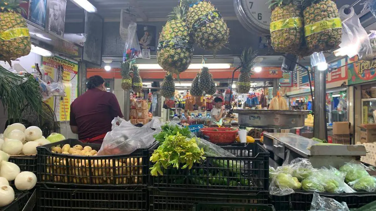 WhatsApp Image 2023-09-09 at 2.12.41 PM