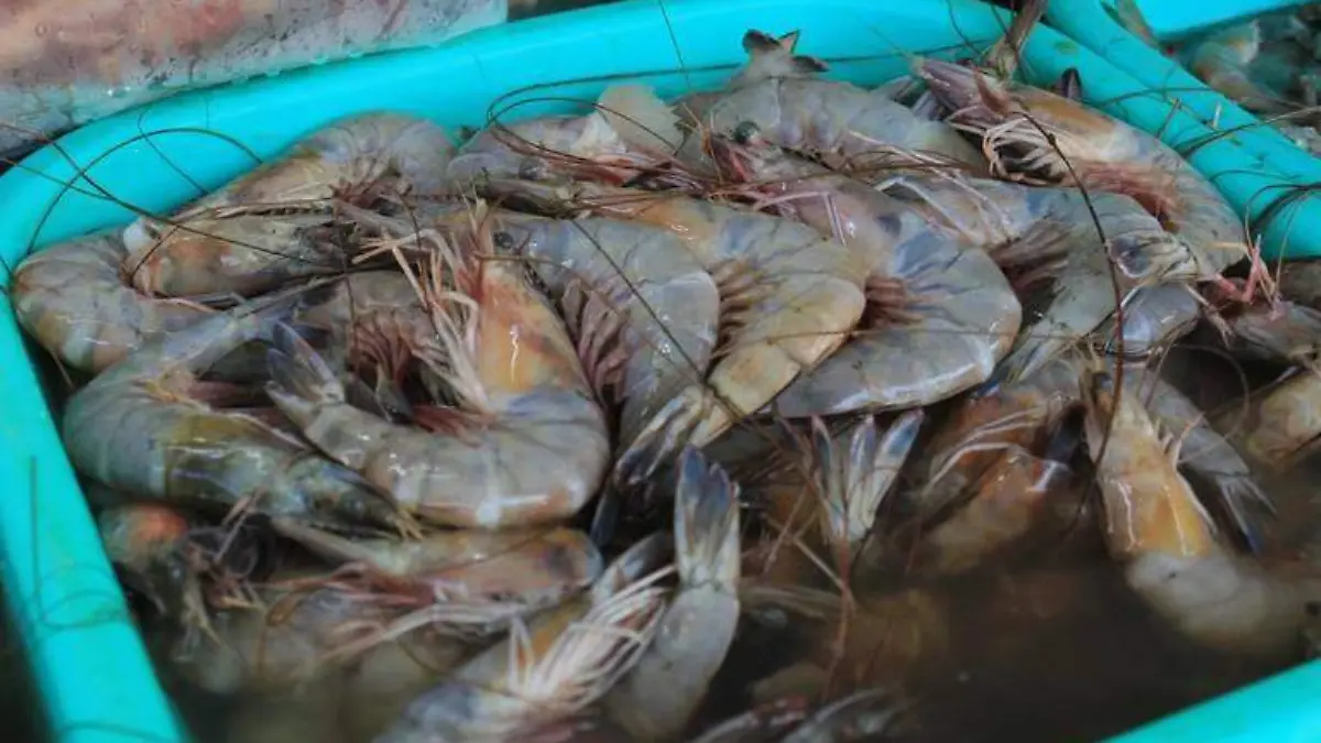 336346815_1675292296257184_3843459301678092825_n