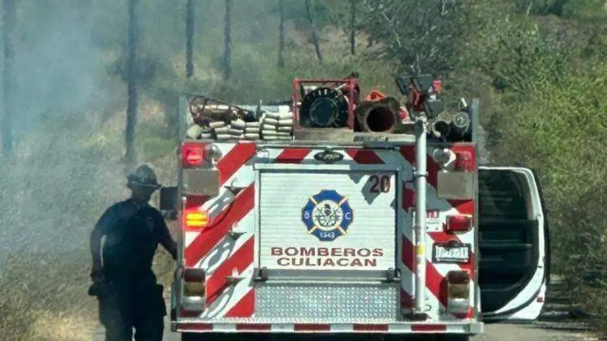 incendio-forestal