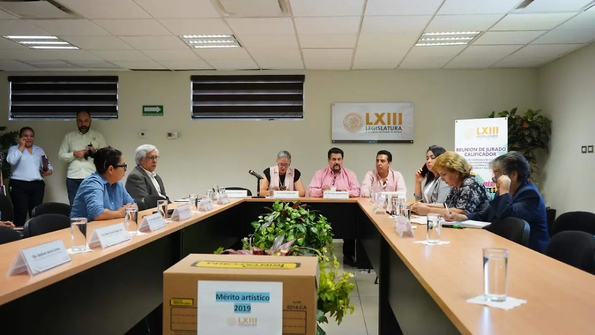 jurado del Premio al Mérito Juvenil 2019 