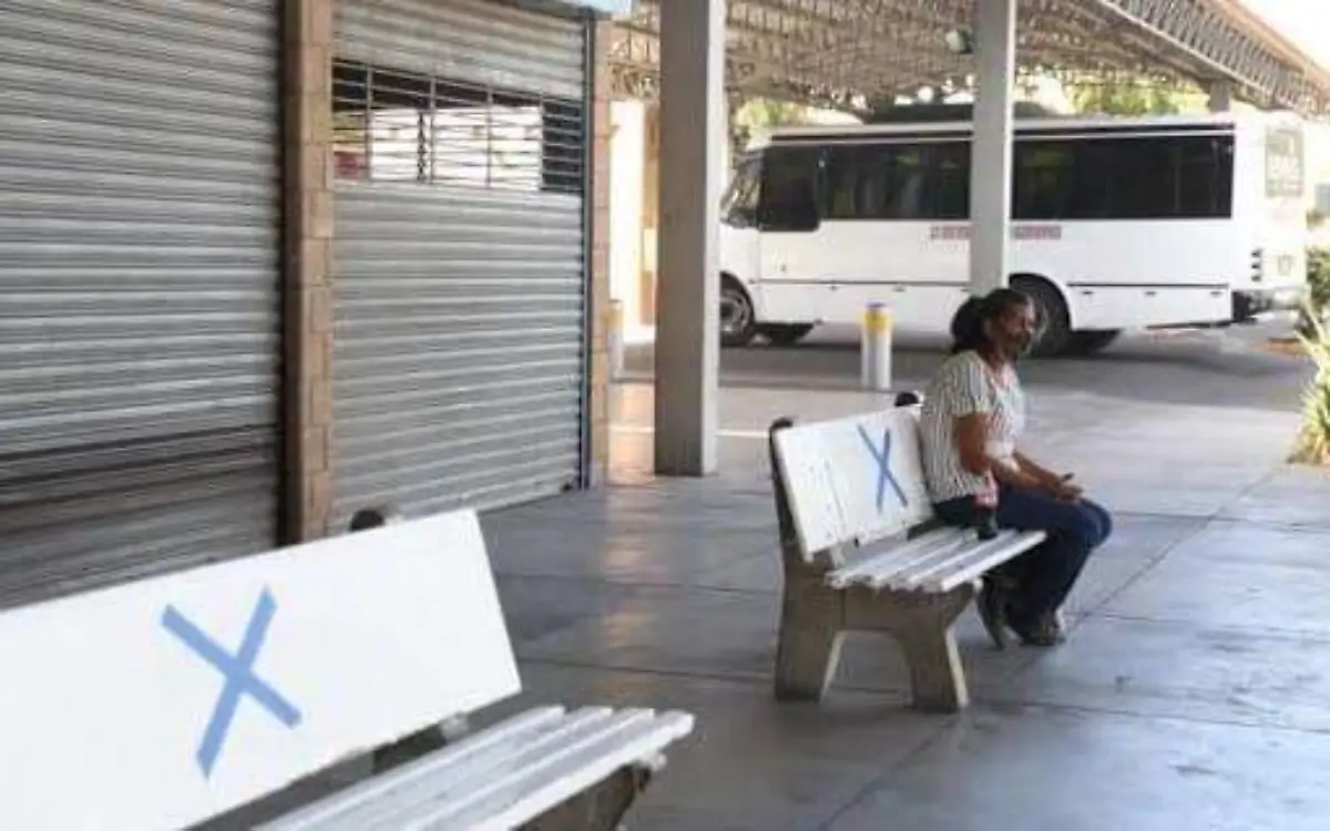 tematica transporte publico