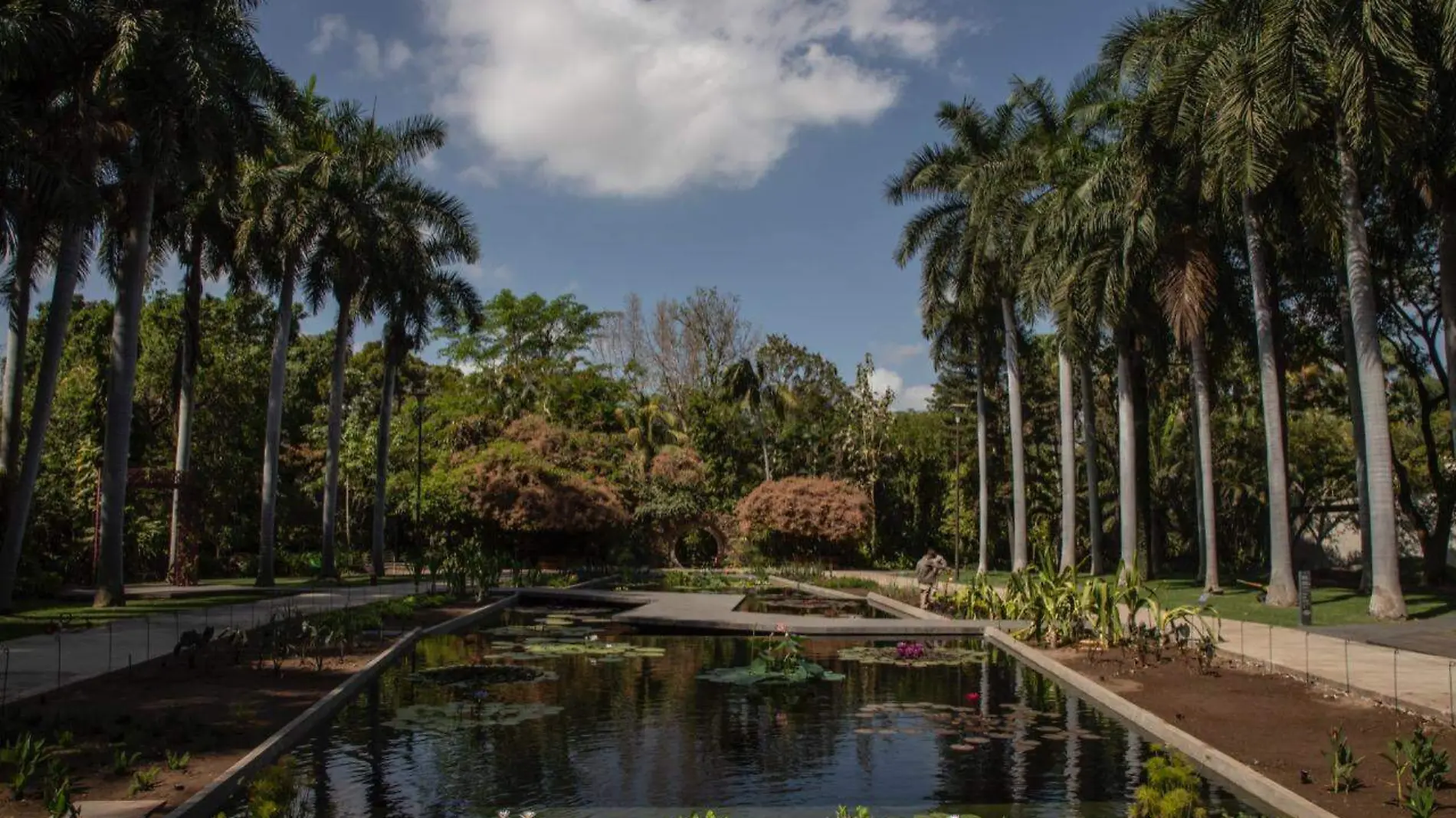 JardinBotanico