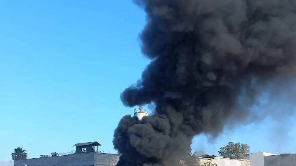 vuelve-fuego-al-piggiback