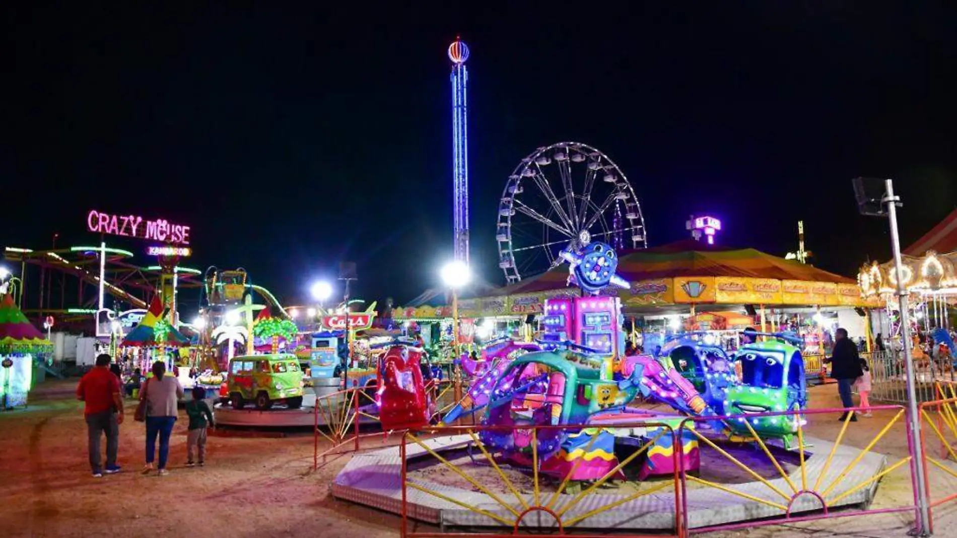 verbena-de-culiacan