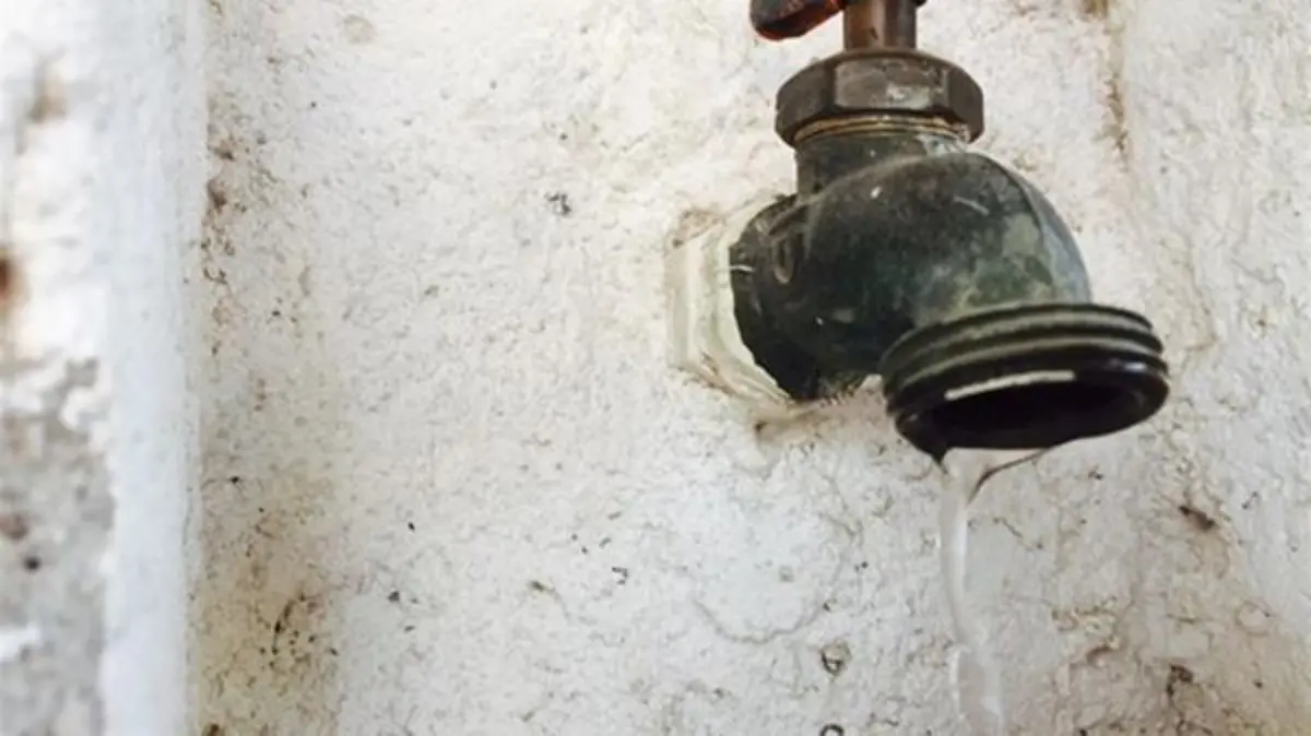 5c4f77fbcf44499d90bee3190e4a6211-focus-0.2-min0