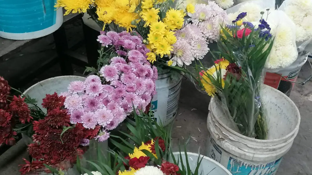 floristas-dia-de-las-madres