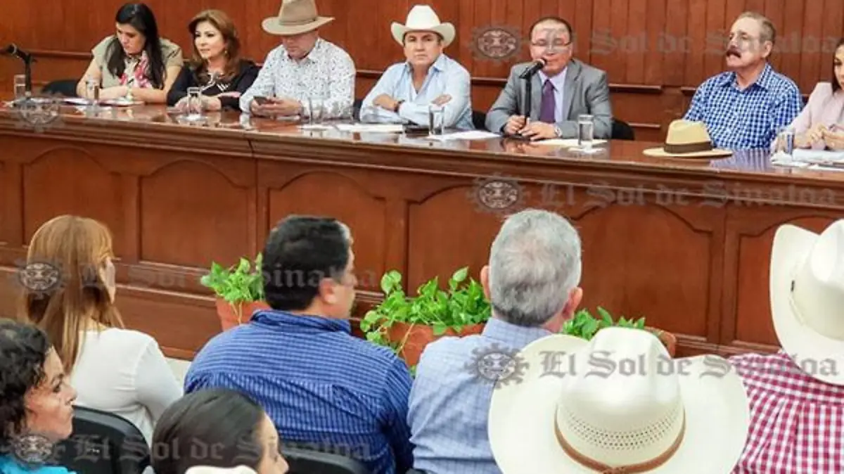 d1217498-3024-4544-9f36-0e030d2aaa18