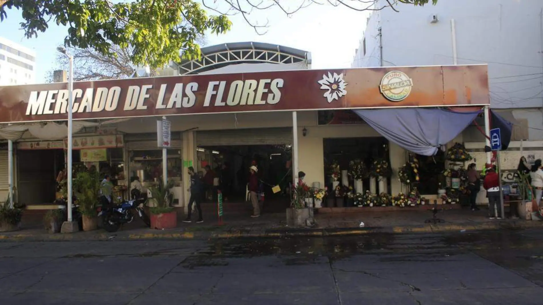 Flores