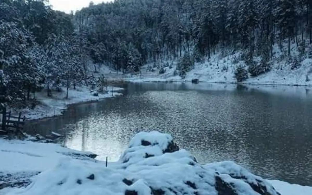 Badigaruato Nieve