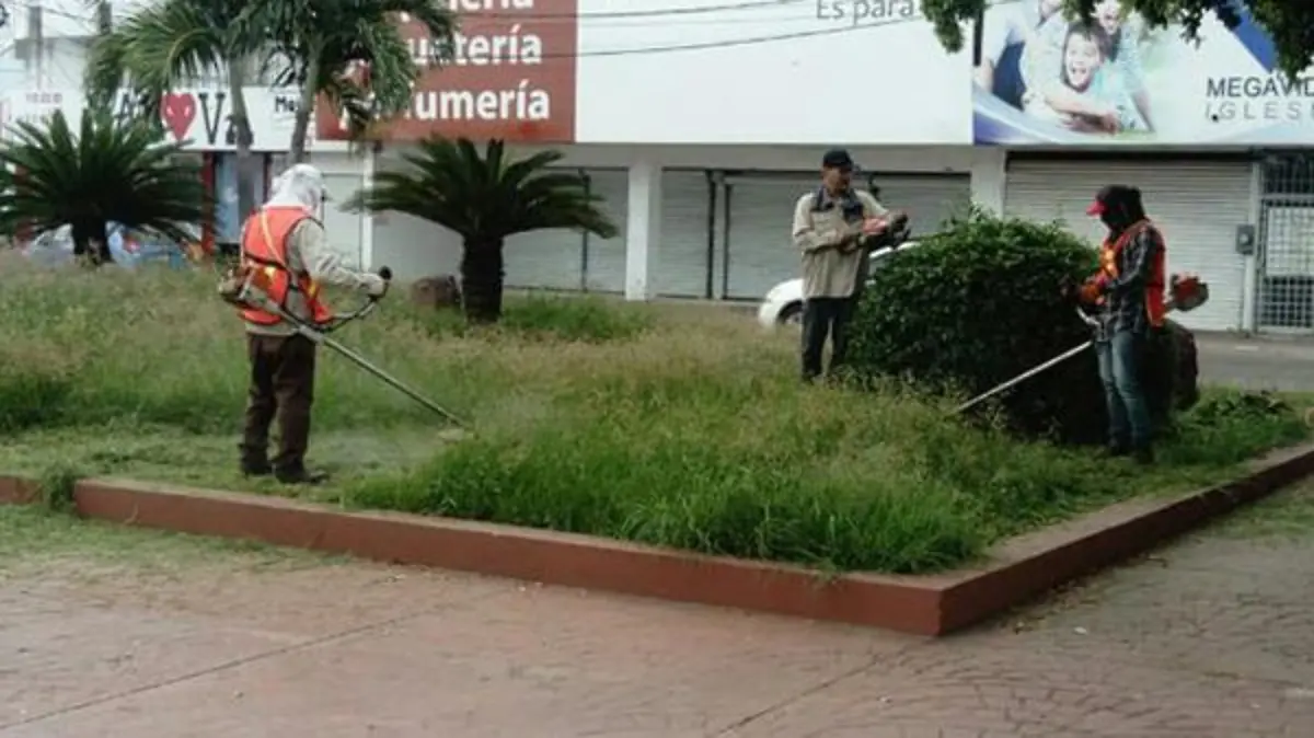 PODA DE PASTO Y LIMPIEZA EN PRINCIPALES BULEVARES (3)