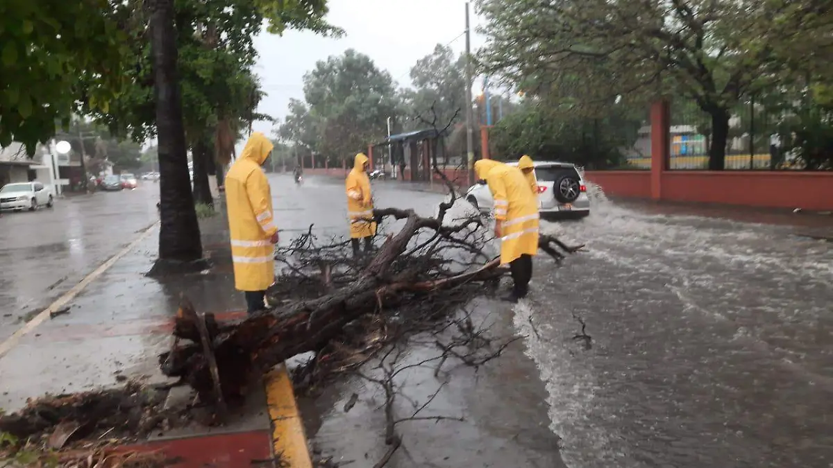 arboles-caidos-en-culiacan