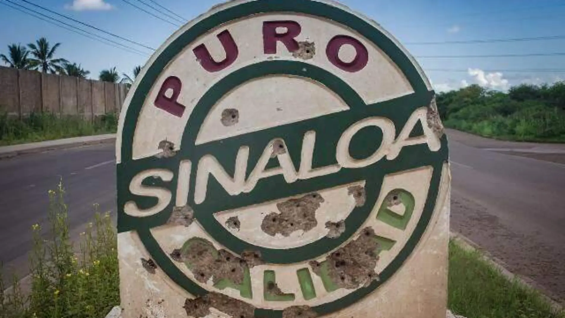 PUROSINALOA