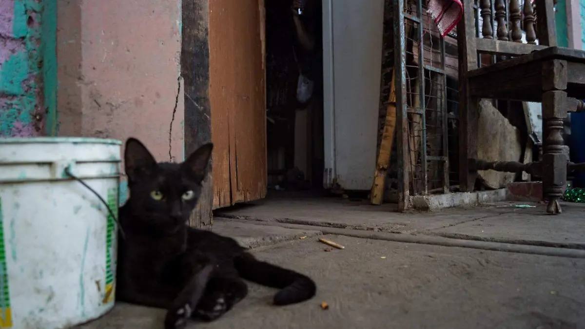 HUÉRFANOS SIN PATRIA