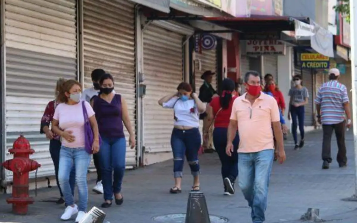 WhatsApp Image 2022-12-29 at 11.19.54