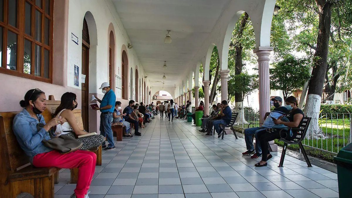 -hongo-negro-en-Culiacán1-