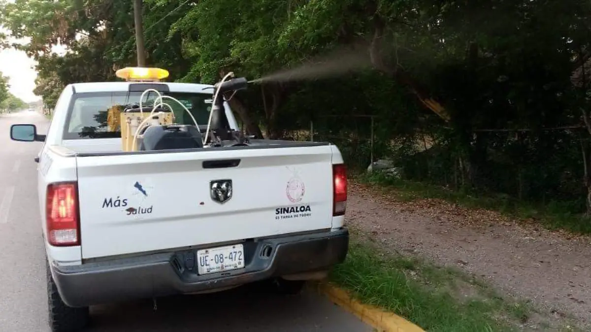 cciones contra el dengue1