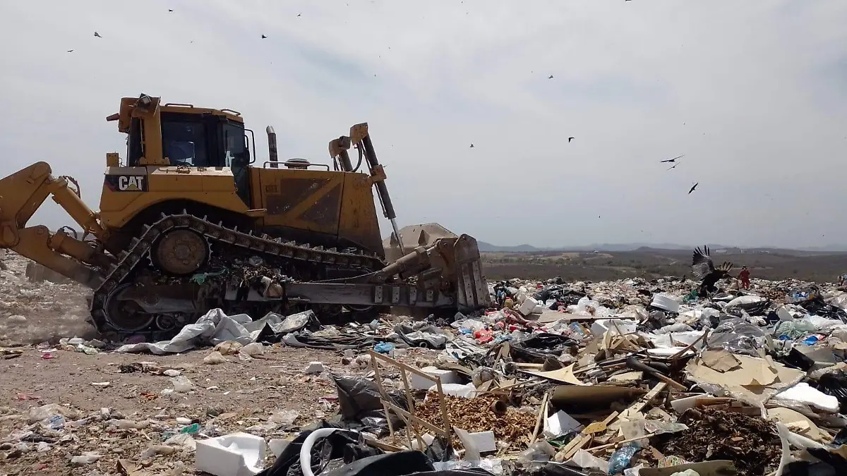 especial-pepenadores