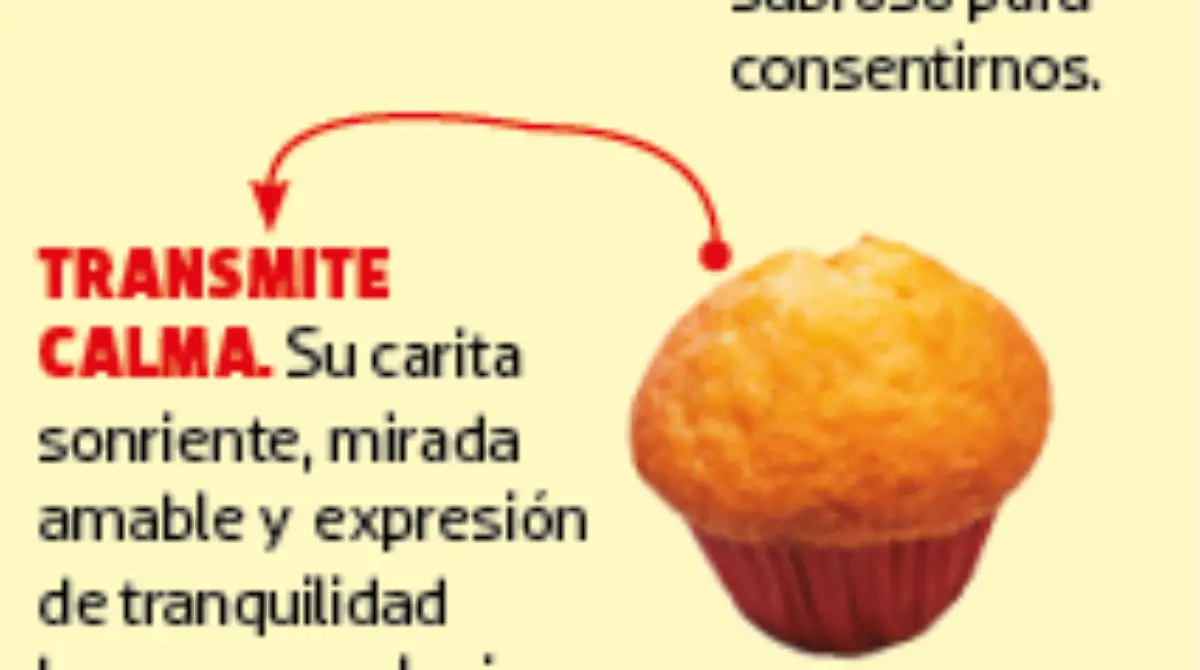 Bimbo_pan_osito