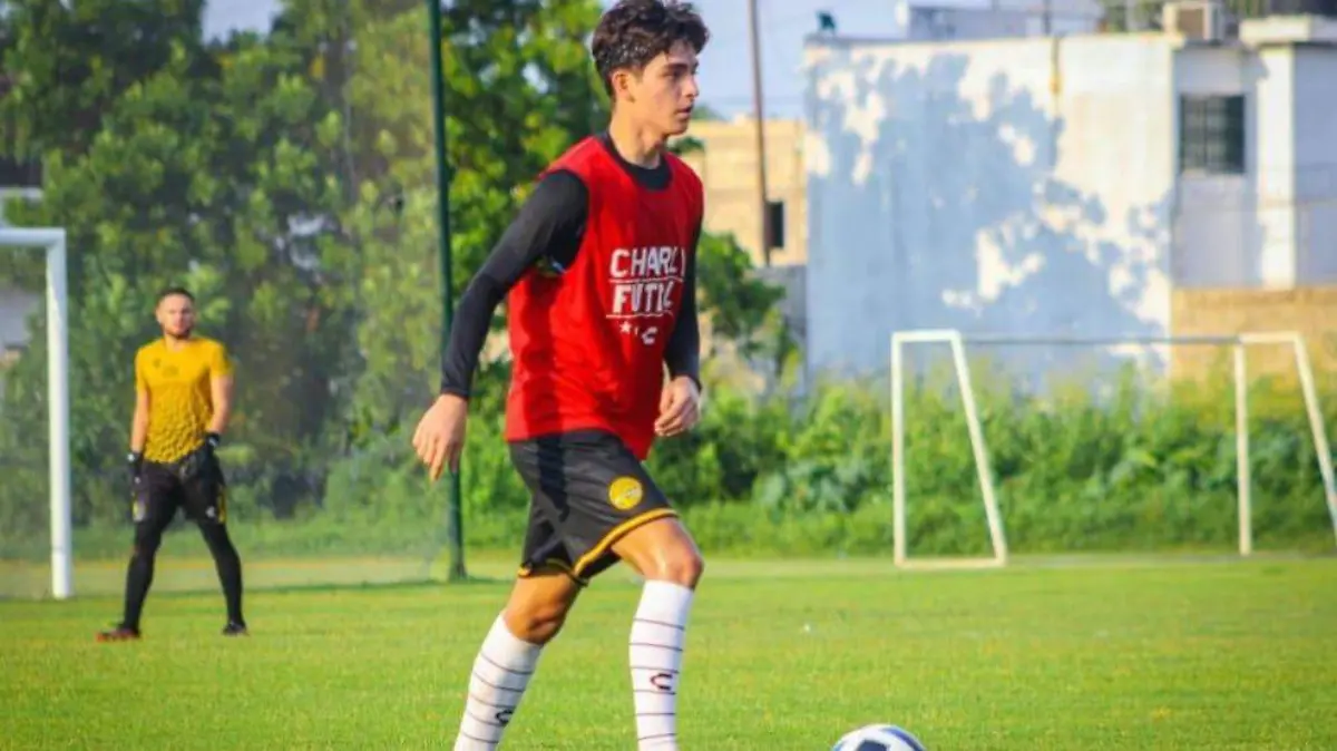   fuerzas-basicas-dorados-sinaloa