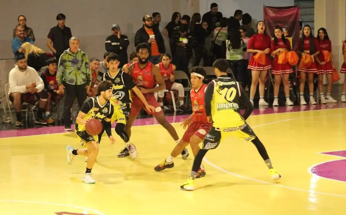 WhatsApp Image 2022-12-21 at 14.27.46