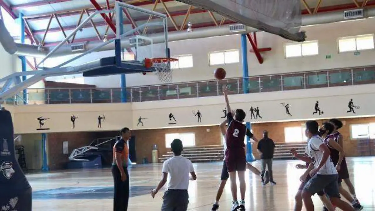 basquet